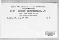 Image Associated With the Occurence